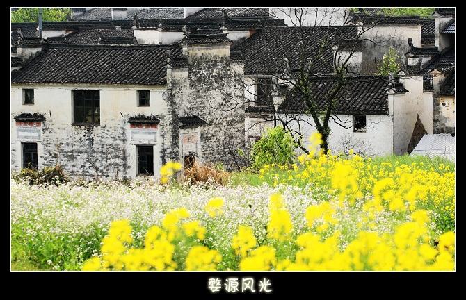 婺源風(fēng)光無限好