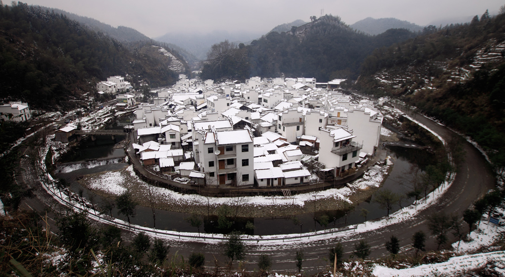 菊經(jīng)雪景