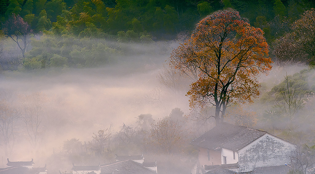 小山村的早晨